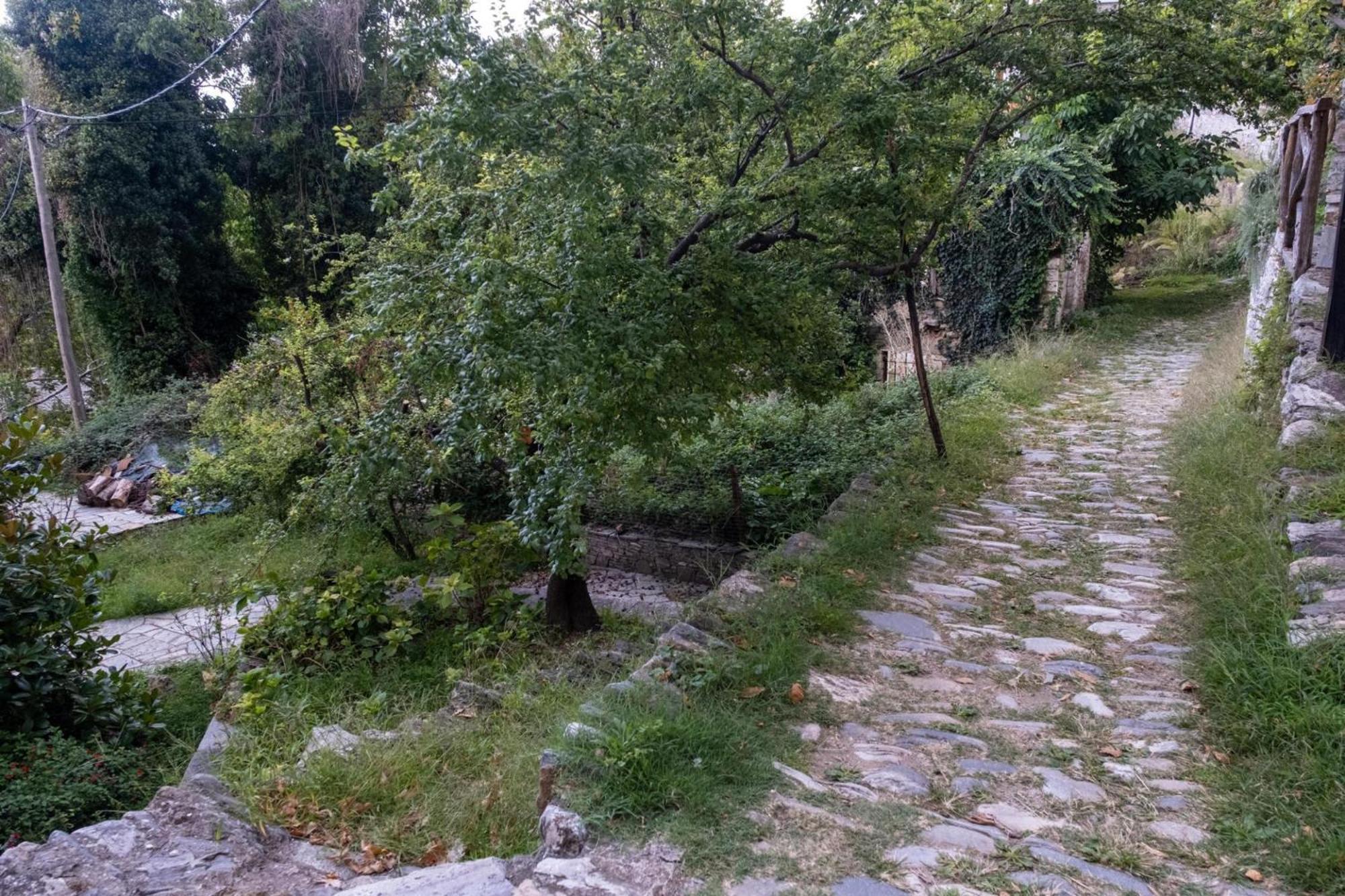 Aparthotel Archontiko Michael Pelion à Vizitsa Extérieur photo