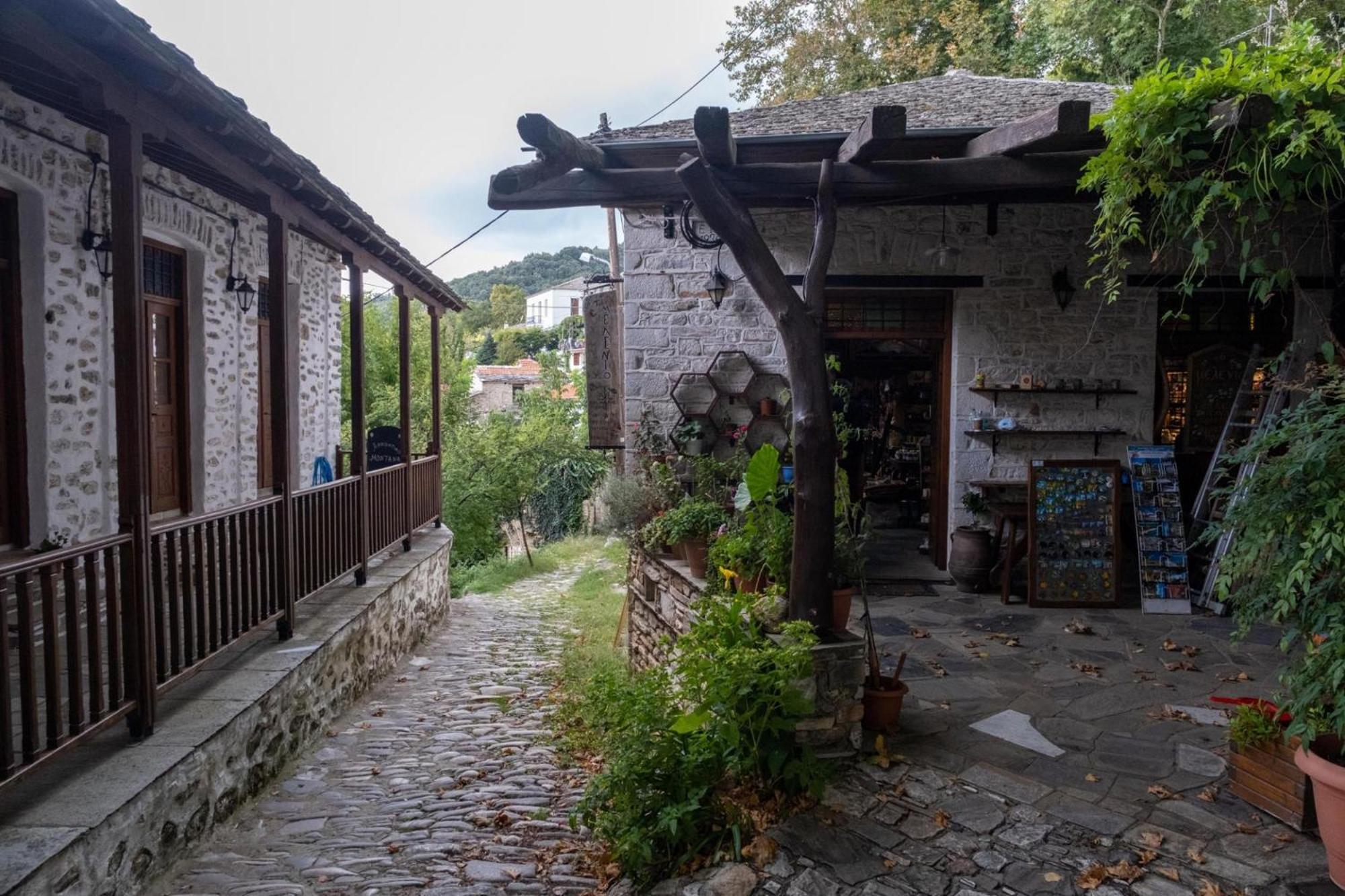 Aparthotel Archontiko Michael Pelion à Vizitsa Extérieur photo