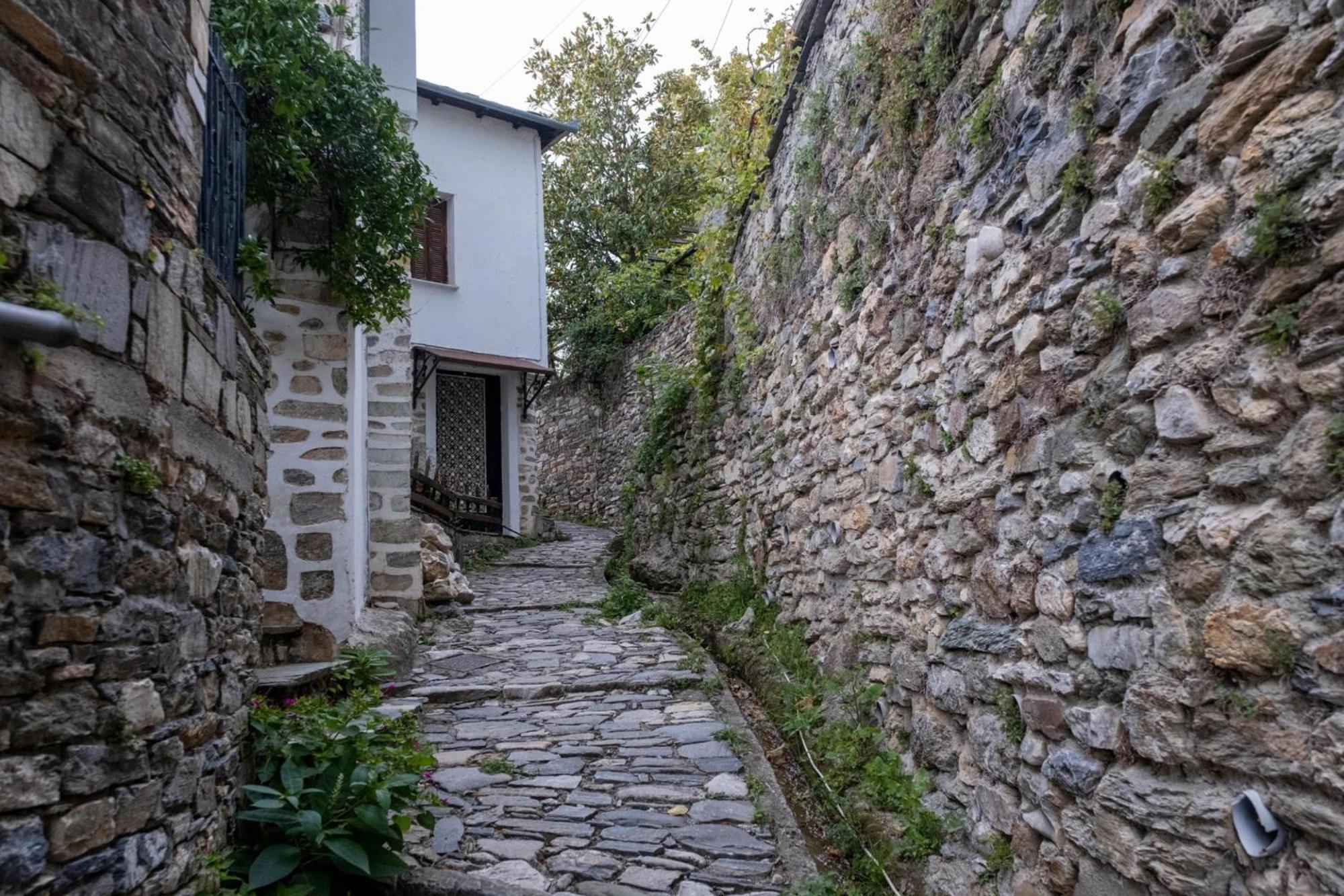 Aparthotel Archontiko Michael Pelion à Vizitsa Extérieur photo