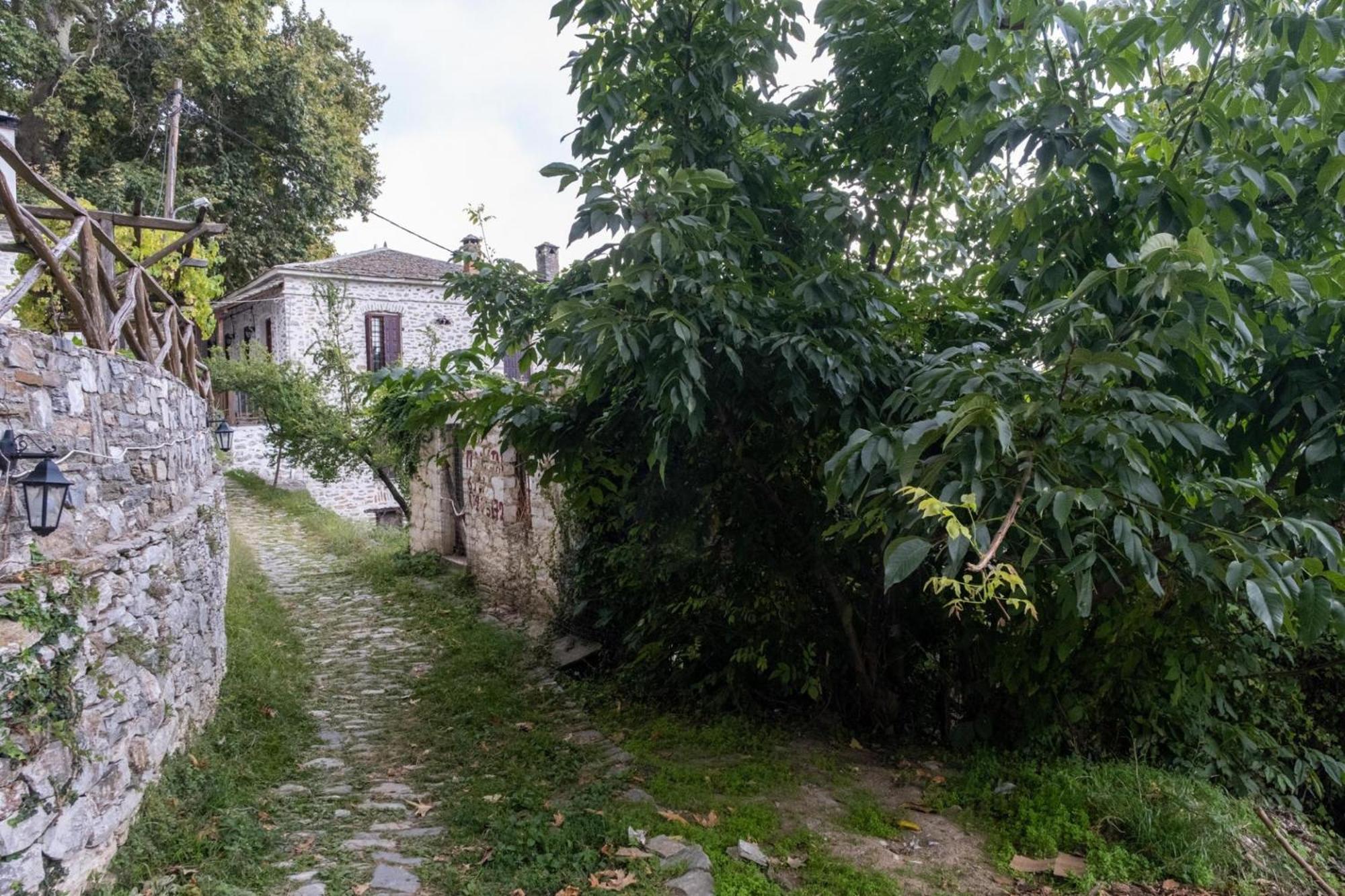 Aparthotel Archontiko Michael Pelion à Vizitsa Extérieur photo